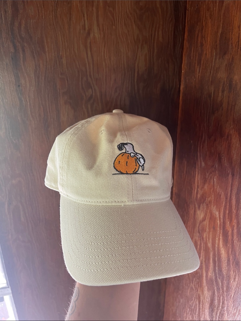 American Eagle Pumpkin Snoopy Hat